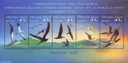 Christmas Islands 1993 Sea Birds S/s, Mint NH, Nature - Birds - Christmaseiland