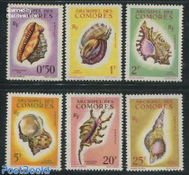 Comoros 1962 Shells 6v, Mint NH, Nature - Shells & Crustaceans - Marine Life