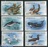 Dominica 1979 Caribean Animals 6v, Mint NH, Nature - Animals (others & Mixed) - Birds - Fish - Sea Mammals - Fishes