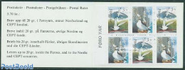 Faroe Islands 1991 Birds Booklet, Mint NH, Nature - Birds - Stamp Booklets - Non Classificati