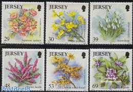 Jersey 2003 Winter Flowers 6v, Mint NH, Nature - Flowers & Plants - Jersey