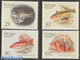 Madeira 1989 Fish 4v, Mint NH, Nature - Fish - Fische