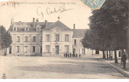 BRACIEUX - Place De L'Hôtel De Ville - Très Bon état - Other & Unclassified