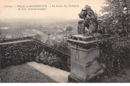 PRAT Et BONREPAUX - Le Lion Du Château Et Vue Panoramique - Très Bon état - Sonstige & Ohne Zuordnung