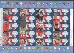 Great Britain 2002 Label Sheet, Football World Cup, Mint NH, Sport - Football - Nuevos