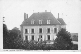 Château Des Ternes Près PIONNAT - Très Bon état - Autres & Non Classés