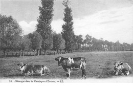 Pâturages Dans La Campagne D'EVREUX - Très Bon état - Evreux