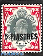 Great Britain 1909 Levant, 5pia On 1Sh, Stamp Out Of Set, Unused (hinged) - Ongebruikt