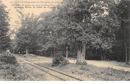 Forêt De CHATEAUNEUF EN THIMERAIS - Allée Du Jaglu - Très Bon état - Sonstige & Ohne Zuordnung