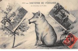 Souvenir Du Périgord - Un Chercheur De Truffes - Très Bon état - Autres & Non Classés