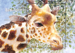 Guernsey 2020 Giraffe S/s, Mint NH, Nature - Animals (others & Mixed) - Giraffe - Guernsey