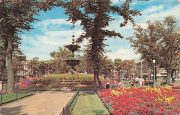 OLD STEINE GARDENS . BRIGHTON - Other & Unclassified