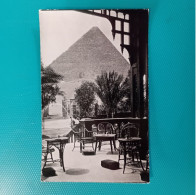 Cartolina Cairo. Viaggiata 1953 - Le Caire