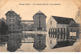 GRACAY - Les Grands Moulins - Vue Générale - Très Bon état - Graçay