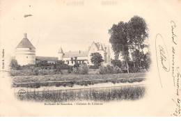 Environs De Sancoins - Château De Liènesse - Très Bon état - Other & Unclassified