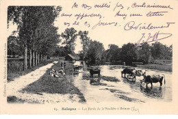 SOLOGNE - Les Bords De La Sauldre à Brinon - Très Bon état - Other & Unclassified
