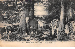 Montagnes Du Doubs - Pendant L'Orage - Très Bon état - Autres & Non Classés