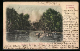 AK Borshome, Bassin à Lekani  - Georgien