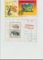 Ten Covers Franked With Souvenir Sheets. Postal Weight 0,099 Kg. Please Read Sales Conditions Under Image Of Lot (009-11 - Colecciones (sin álbumes)