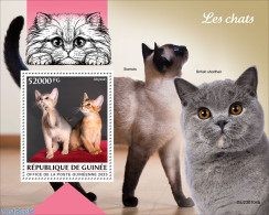 Guinea, Republic 2023 Cats, Mint NH, Nature - Cats - Andere & Zonder Classificatie