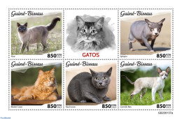 Guinea Bissau 2023 Cats, Mint NH, Nature - Cats - Guinea-Bissau