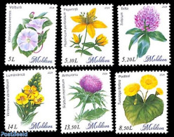 Moldova 2024 Wild Flowers 6v, Mint NH, Nature - Flowers & Plants - Other & Unclassified