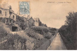 ETRETAT - L'Avenue Des Tamaris - Très Bon état - Etretat