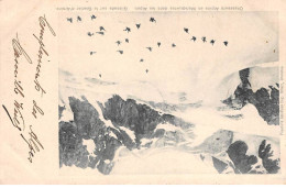 Chasseurs Alpins En Manoeuvres Dans Les Alpes - Glissade Sur La Glacier D'Arsine - Très Bon état - Other & Unclassified