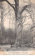 Forêt De PHALEMPIN - Le Grox Chêne - Très Bon état - Otros & Sin Clasificación