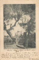 ALGERIE - ALGER - NOTRE DAME D'AFRIQUE - ED. VOLLENWEIDER N° 59 - 1901 - Alger