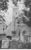 CHATEL - Remparts Du Vieux Chatel - Très Bon état - Châtel