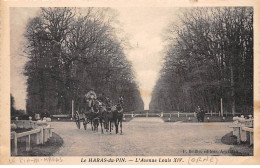 LE HARAS DU PIN - L'Avenue Louis XIV - Très Bon état - Sonstige & Ohne Zuordnung