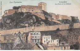 LOURDES - Les Forts Et Le Château - Très Bon état - Lourdes