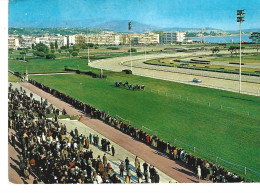 Hippisme à CAGNES SUR MER (06) - L'hippodrome De La Côte D'Azur  (pendant Une Course Et Public Au Bord Dere La Piste) - Paardensport