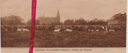 Panorama Oosteind  Oosterhout - Orig. Knipsel Coupure Tijdschrift Magazine - 1926 - Ohne Zuordnung
