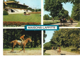 Hippisme à MAISONS LAFFITTE (78) - Tribunes Et Chevaux à L'entraînement  (4 Vues) - Horse Show