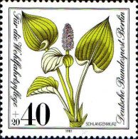 Berlin Poste N** Yv:611 Mi:650 Schlangenwurz Calla Palustris - Unused Stamps