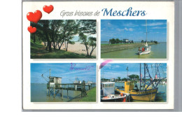 MESCHERS 17 - La Plage Le Port Carrelets Gros Bisous Bateau De Pêche Voilier Foret - Meschers