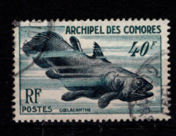 - COMORES - 1954 - YT N° 13 - Oblitéré - Faune Marine - Used Stamps