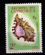 - COMORES - 1962 - YT N° 21 - ** - Coquillage - Unused Stamps