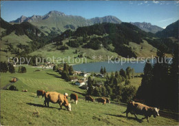 11713549 Schwarzsee Sense Mit Kaiseregg Schwarzsee - Sonstige & Ohne Zuordnung