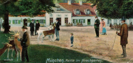 Superrar Litho München Partie Am Hirschgarten Zieher Karte Um 1910 - Muenchen