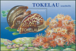 Tokelau 1996 SG254 Humpback Cowrie Shell MS MNH - Tokelau