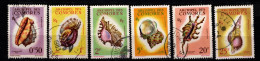 - COMORES - 1962 - YT N° 19 / 24 - Oblitérés - Coquillages - Série Complète - Used Stamps