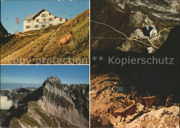 11713169 Weissbad Berggasthaus Rotsteinpass Altmann Steinwald  Weissbad - Sonstige & Ohne Zuordnung