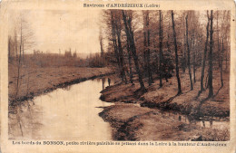 42-ANDREZIEUX LES BORDS DU BONSON-N°T5157-E/0297 - Andrézieux-Bouthéon