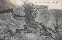 77-FONTAINEBLEAU LA FORET ROCHER BRISE-N°T5157-C/0395 - Fontainebleau