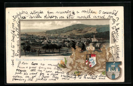 Passepartout-Lithographie Bad Kissingen, Panorama Mit Kirche, Wappen  - Altri & Non Classificati