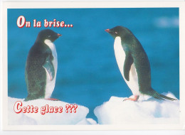 Pingouins - Humour