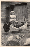 Photographie Photo Vintage Snapshot Enfant Child Poule Hens  - Autres & Non Classés